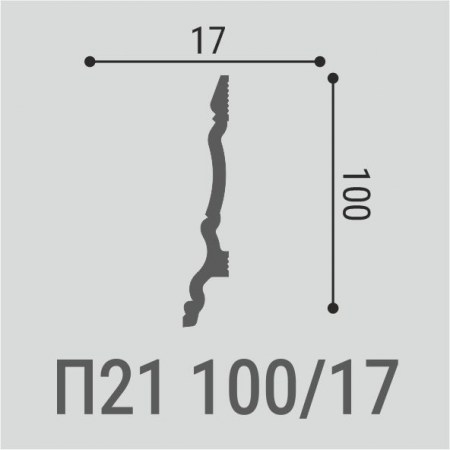 p21-100-17_1743147624